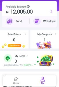 Make money on palmpay app