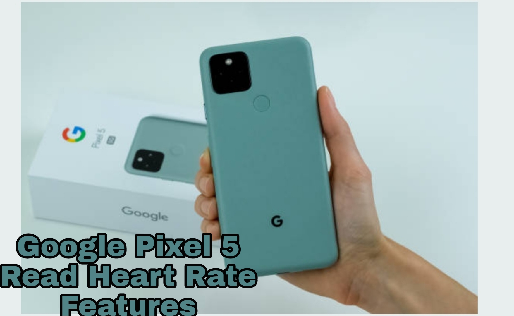 Google pixel 5 read heart rate features