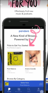 pandora apk