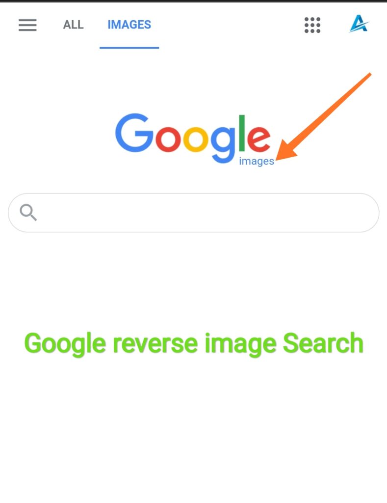 Google reverse image search