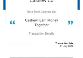 Cashew Surveys For Money