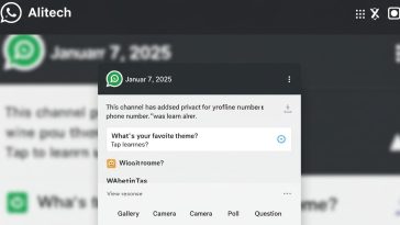 Ask Questions in WhatsApp Channels